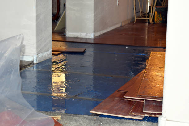 Professional Burst Pipe Cleanup technician working in McComb, OH
